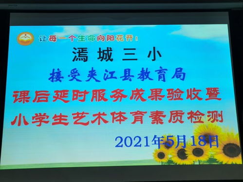 夹江漹城三小接受县教育局2021年小学生艺术体育素质检测