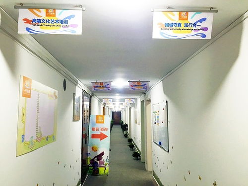 南通高端文化艺术培训一行教育投入试运营