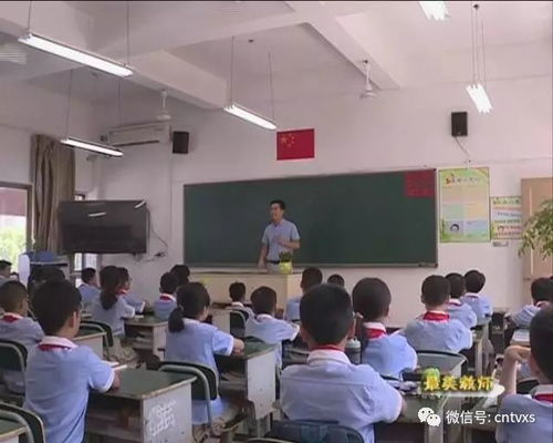 林志超 探寻教育的柔软艺术 与学生一起幸福成长
