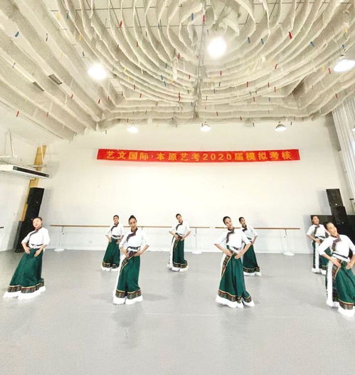 艺文国际 本原艺考2020届佳绩,梦想靠岸