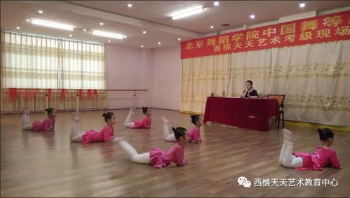 舞蹈路上,成长见 证 天天艺术教育中心中国舞考级圆满结束
