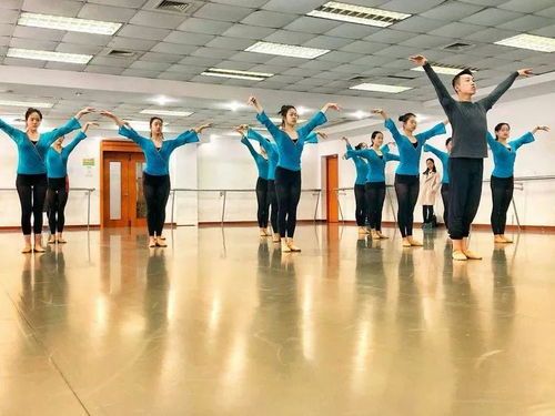 明理 悟情 取艺 广州市白云区艺术教育骨干学习之旅
