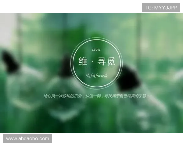 凯·帕克的经典朝八晚四:在快节奏生活中寻觅诗意与宁静 凯·帕克的经典朝八晚四:在快节奏生活中寻觅诗意与宁静