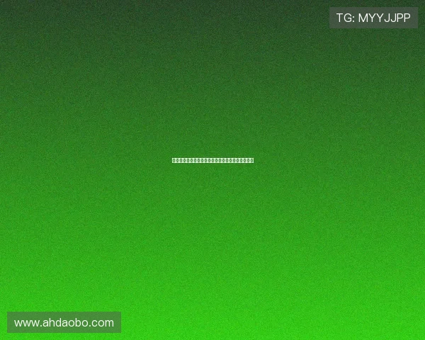 客户名单：一场关于数据美学与商业智慧的奇妙邂逅