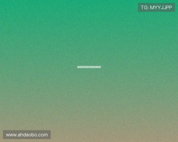 水壶的面孔：一个被忽视的日常美学